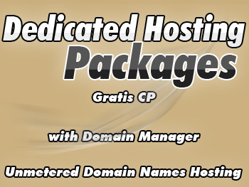 Cheap dedicated hosting provider